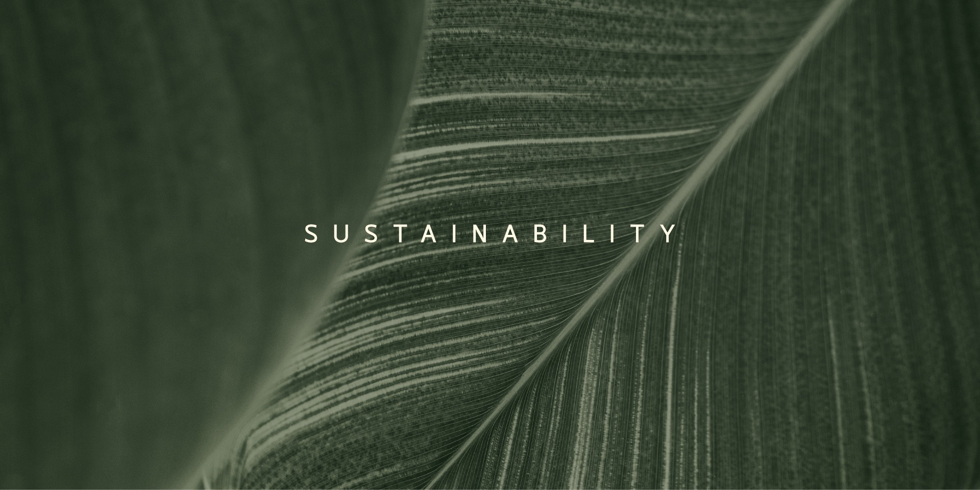 Sustainability